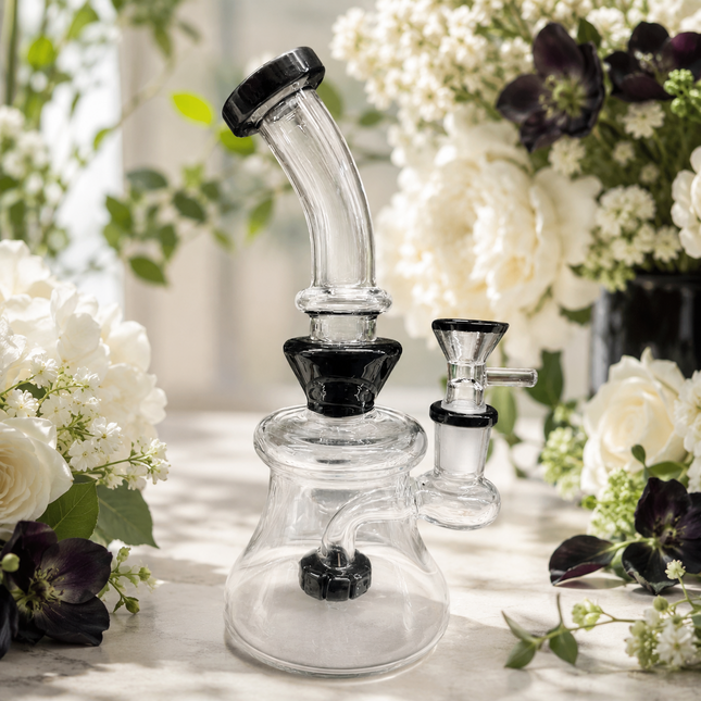 Black Accent Disc Percolator Glass Water Pipe 14mm Bowl 7 inch